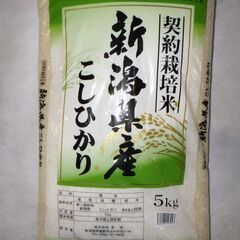 お米5kg②