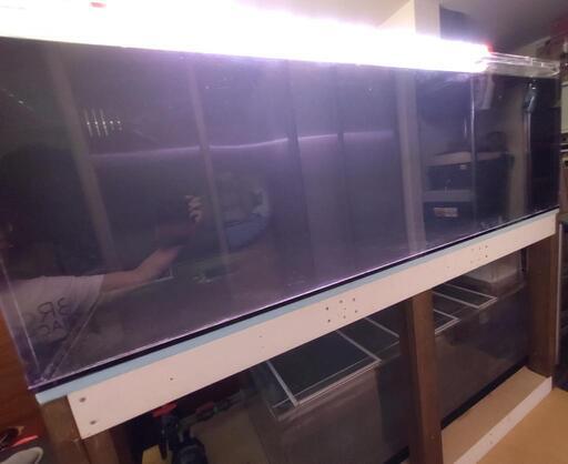 大型アクリル水槽(180×90)