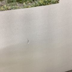 【お取引中】【店頭引き取り限定】キャンプ　テント　折りたたみテント　アウトドアの画像