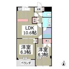 💙💜フリーレント1ヶ月付き💜💙ペット相談可🎶エレベーターあり✨京...