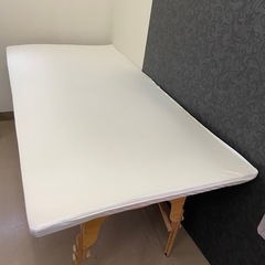 トゥルースリーパー プレミアム シングルの中古が安い！激安で