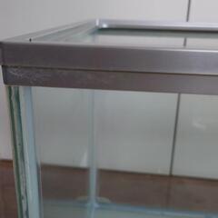 水槽の画像