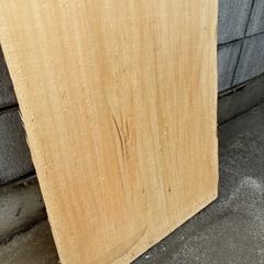 サワクルミの一枚板② 無垢材　木材の画像