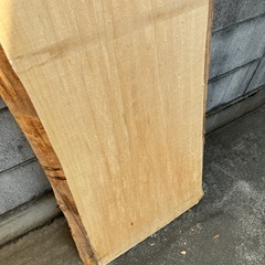 サワクルミの一枚板② 無垢材　木材の画像