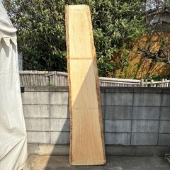 サワクルミの一枚板② 無垢材　木材の画像