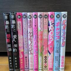 漫画　YLC 少女漫画　11冊