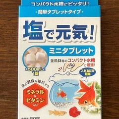 塩で元気!ミニタブレット50錠×33箱の画像