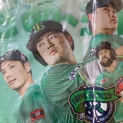 石山泰稚　キーホルダー　ヤクルトスワローズ　ポーチ　村上宗隆　売り子名鑑　2025 の画像