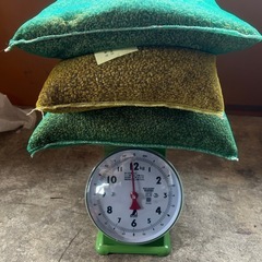 新潟県上越市BLコシヒカリ消毒済種子 約11.8kg(正味約10kg)種籾