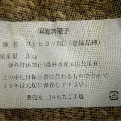 新潟県上越市BLコシヒカリ消毒済種子 約11.8kg(正味約10kg)種籾 新潟県上越市BLコシヒカリ消毒済種子 約11.8kg(正味約10kg)種籾