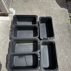ダイソー めだか飼育ケース
