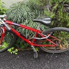自転車　giant