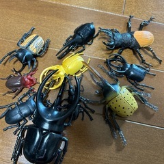 カブトムシ、クワガタ