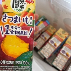 伊藤園1日分の野菜19本セット 「受け渡し決定
