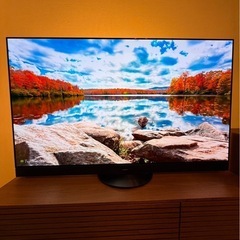 Panasonic 55型 2022年製 4k 有機EL TH-...