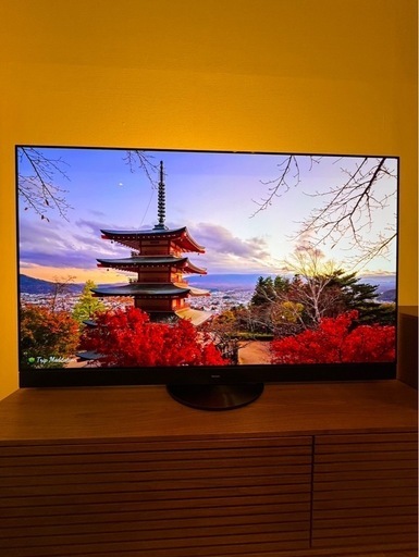 Panasonic 55型 2022年製 4k 有機EL TH-55LZ2000