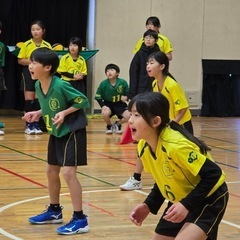 🏐akiruno_KIRARA JVC 🏐メンバー&スタッフ募集‼️ - スポーツ