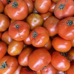短期2025年6月まで★野菜の仕分け