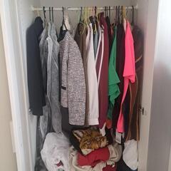 IKEA衣装棚の画像