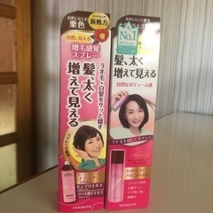 数回使用スプレーウィッグ白髪も隠せる各500円