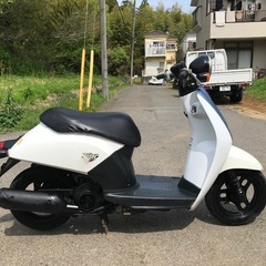 ホンダ（HONDA）2010年 TODAY F・カラーチェンジのカタログ情報
