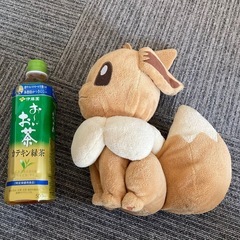 ポケモン ★ イーブイ ぬいぐるみ 人気の画像