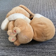 ポケモン ★ イーブイ ぬいぐるみ 人気の画像