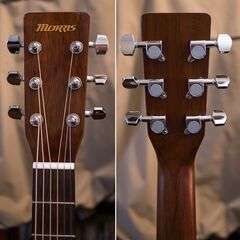 MORRIS MD-256 1998年 極上 初心者セットの画像