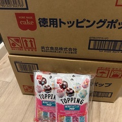共立食品 徳用 トッピング ポップ 13g＊5袋入＊(2ケース)