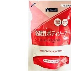 ヤマダ電機　PB（プライベートブランド）　ボディーソープ4…