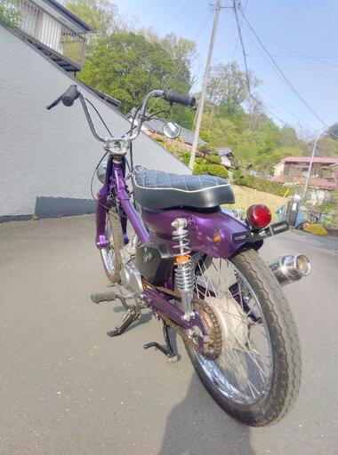 ホンダスーパーカブモンキーエンジン12Vカスタム (アスパラガス ホンダスーパーカブモンキーエンジン12Vカスタム (アスパラガス
