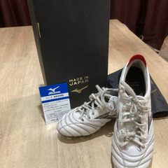 モレリア スポーツの中古が安い！激安で譲ります・無料で