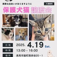19日(土)脇町にて保護犬猫譲渡会開催！！