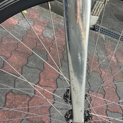 🚴 ジャイアント　シングルスピードの画像