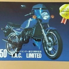 レッドバロン 世界の名車シリーズ vol.41 YAMAHA R...