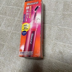 ブローネ　根元カラー　ヘアマニキュア　未使用品