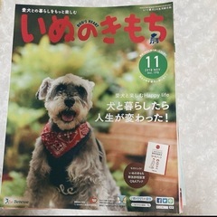 いぬのきもち　過去2年分