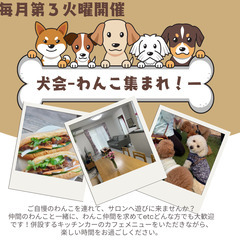 🐶5/20(火)犬会開催ーわんこ好き集まれ！ー 