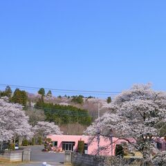 調理員　施設給食　美味しい！の声が聞けるキッチンで調理の仕事です！【未経験可】【笠間市】の画像