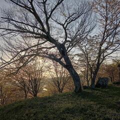 ヨーガ・瞑想・登山・修行トレーニングなどで会得できる神通力のよう...