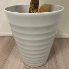 フェイクグリーン　の画像