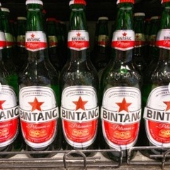ビンタン　BINTANG  インドネシアンビール 瓶 330ml...