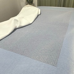 アウトレット品で極美品!エマ・ラグジュアリーセミダブルサイズ アウトレット品で極美品!エマ・ラグジュアリーセミダブルサイズ