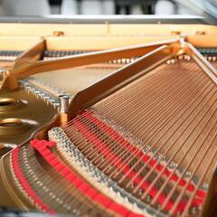 🎹1984年製 中古スタインウェイ D-274 コンサートグランドピアノ 🎹1984年製 中古スタインウェイ D-274 コンサートグランドピアノ