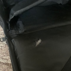 ツインペダルの画像