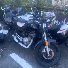 置き場ないため断捨離早い者勝ち。　　の画像
