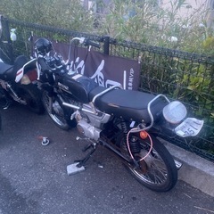 置き場ないため断捨離早い者勝ち。　　の画像