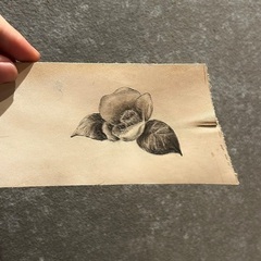 🎨美大で培った知識と技術でレッスン🌱デッサンの基礎🌱【初心者大人向け】の画像