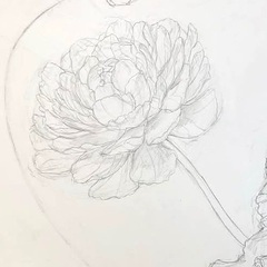 🎨美大で培った知識と技術でレッスン🌱デッサンの基礎🌱【初心者大人向け】の画像