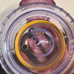 スタバ　タンブラー　決定の画像